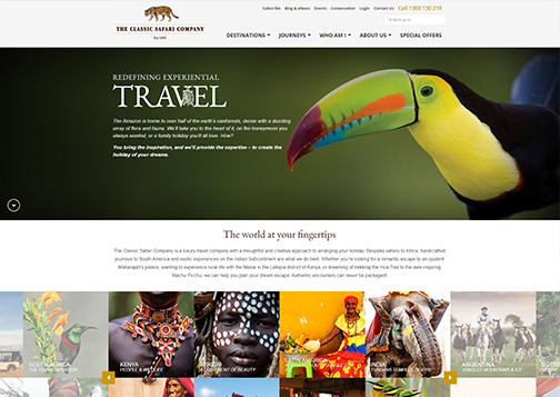 Travel Company Site